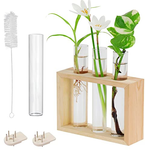 BELLE VOUS Porte Plante Mural en Verre de Tube à Essai - 4 Tubes à Fleurs (1 de Rechange) avec Support en Bois - Vase Suspendu Moderne pour Plantes, Maison, Culture, Hydroponie et Décoration