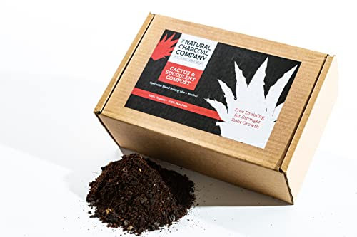 The Natural Charcoal Company Cactus and Succulent Potting Compost Mix - Premium Peat Free and Organic Blend Enriched with High Grade Charcoal Granules, 1 litre
