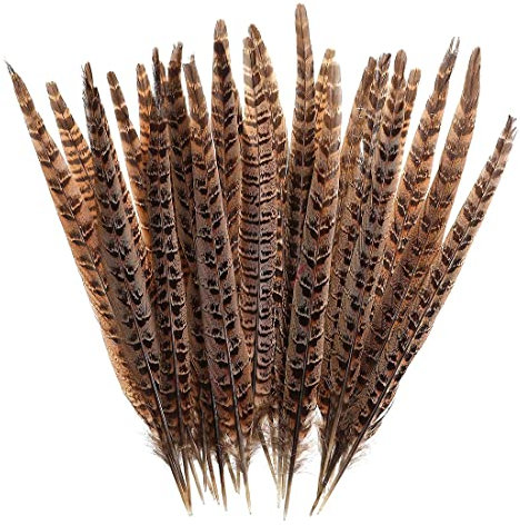 Zeayebsr Packung mit 20 Fasanenfedern, 25–30 cm Lange Fasanenschwanzfeder, Hutfeder, natürliche Bastelfeder