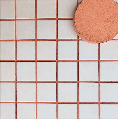 Fugenmörtel-Farben | Einsetzbar für Fugen im Innen- und Außenbereich auf Wand- und Bodenflächen (Ziegelrot, 1kg)