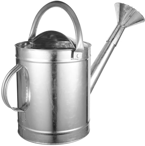 5l Gießkanne aus Eisen mit Langem Auslauf und Sprühauslauf | Silber, Ergonomischer Griff und Deckel, für Präzises Gießen bei Blumen und Pflanzen Zufälliger Stil