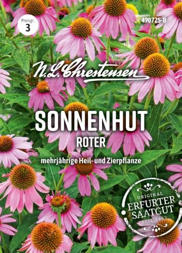 Roter Sonnenhut (Portion) (Echinacea purpurea), mehrjährig