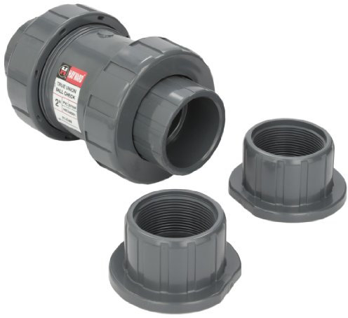 Hayward Tc10200ste 5,1 cm PVC TC Série True Clapet Anti-Retour Union avec Joints EPDM et Prise de Courant/Extrémité filetée Connexion
