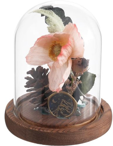 SUNNYCLUE Glass Dome Cover 92x118mm Clear Glass Cloche Dome with Wooden Base Small Glass Domes Glass Display Dome Display Bell Jars Decorative Cloche Bell Jar for Home Party Wedding Gift DIY Craft