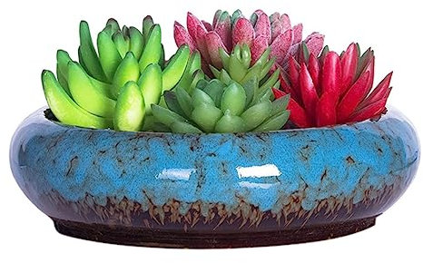 SHITOOMFE Pot de Planta suculenta Maceta de Bonsai Grande con Orificio de Drenaje Cerámica Cactus Planta para macetas para Interiores