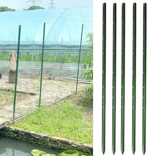 Pack of 5/10 Fence Post Stakes, Green Metal Fencing Pillars for Holding Garden Wire Fence, No-Dig Pointed Bottom Support Rod (Color : Pack of 10, Size : 2m/6.5ft tall)