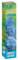 Flortis Ortensia Blu, Pianta Vera da Trapiantare, Altezza 40 cm