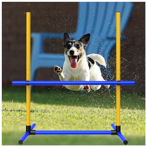 Agility-Trainingsgeräte für Hunde, Hindernisparcours mit Hürden, Indoor Outdoor, inklusive Tragetasche (1)
