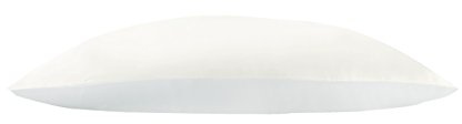Jasmine Silk 100% Pure Mulberry Silk 19 Momme Charmeuse Silk Pillowcase With Cotton underside for Hair and Skin 1pc 50 x 75 cm Hypoallergenic Envelope Closure (Ivory))