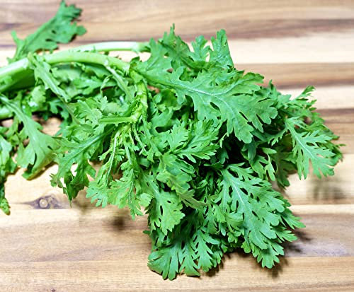 Salatchrysantheme Serrated - Medium Leaf Shungiku Tong Ho/Chrysanthemum Garland Green Serrated - Chrysanthemum coronarium - 300 Samen