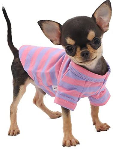 LOPHIPETS 100% Breathable Cotton Striped Dog Tee Shirt T-Shirt for Small Dogs Teacup Chihuahua Yorkie Puppy Clothes -Purple and Pink Strips/XXS