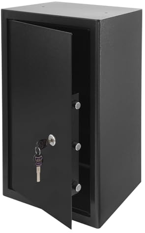 Armoire de sécurité avec 2 clés, 63 x 37 x 31 cm, coffre-fort pour la maison