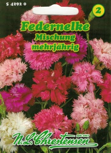 N.L. Chrestensen 542920 Federnelke Mischung (Federnelkensamen)