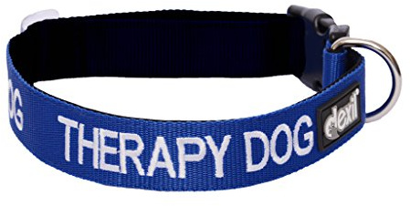 Hundhalsband i neopren med Therapy DOG-inskription – storlek S-M eller L-XL, blå