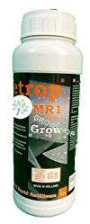 Metrop MR1