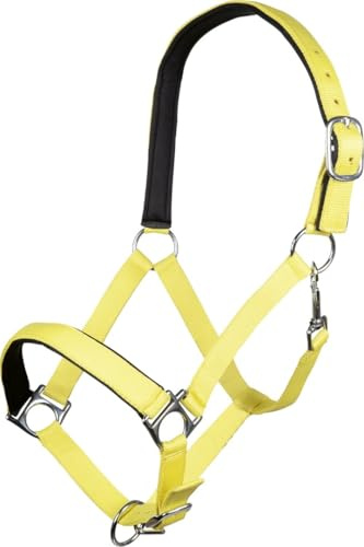 HKM -Stars Softice- Halfter Pferd | Weich Unterlegt, mit Karabiner & Silberbeschlägen | Neongelb | Größen: Shetty, Pony, Vollblut, Warmblut, Kaltblut (Vollblut (COB))
