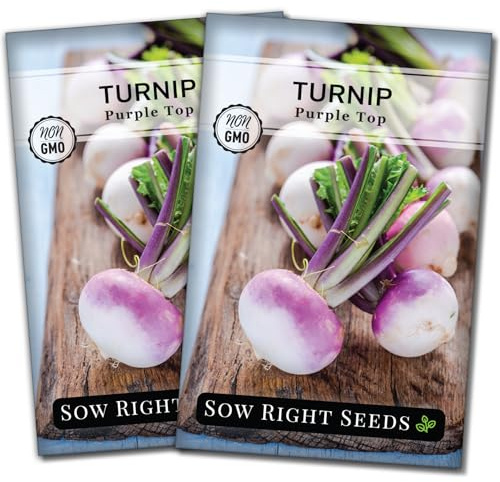 Sow Right Seeds - Purple Top White Globe Turnip Seeds for Planting - Non-GMO Heirloom Packet with Instructions to Plant a Home Vegetable Garden - Early Season, Cold Hardy - Classic Variety (2)