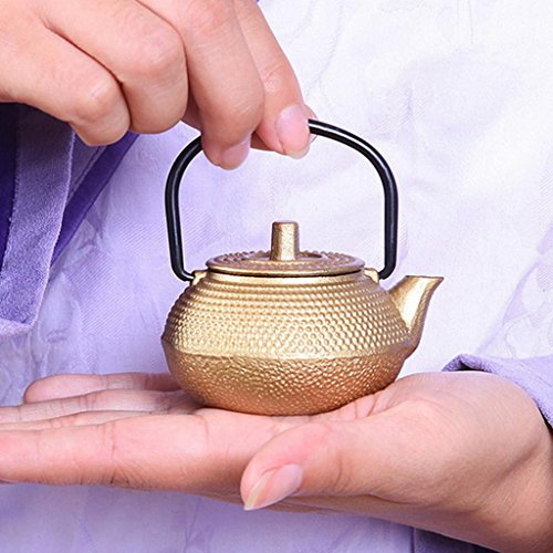 Tetsubin - Tetera pequeña de hierro fundido estilo japonés, 50 ml, color dorado A