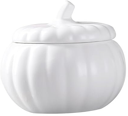 Anneome Ciotola Per Zuppa Di Noodle in Ceramica in Stile Giapponese Con Coperchio Per La Conservazione Degli Alimenti