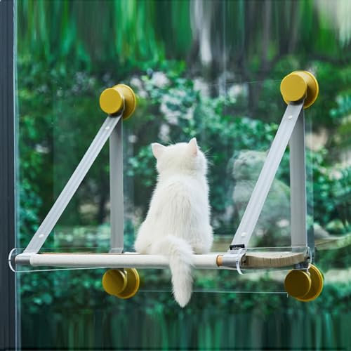 DELURA Katzenhängematten Für Fenster – Sitz Mit Saugnäpfen,Platzsparendes Katzenbett,Haustier-Ruhesitz,Sichere Katzen-Fensterstange Für Große Katzen,Bietet Rundum 360° Sonnenbad Für Den Innenbereich