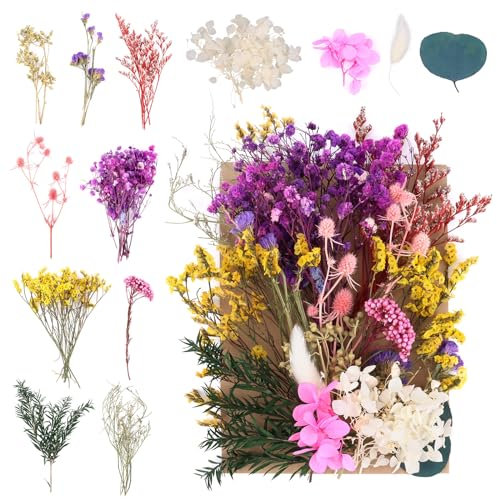 NVIYAM Ensembles de Fleurs Séchées Naturelles Vraies Fleurs Pressées Décoration Naturel Fleur Sechees Fleurs Mélangées Naturelles pour Resine Epoxy Fleurs Séchées Scrapbooking DIY Bougie Fabrication