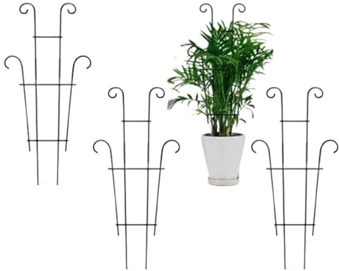 Monstera - Supporto per piante rampicanti per interni, per vasi da casa, frutta, cetriolo, fagioli, verdure, fiori