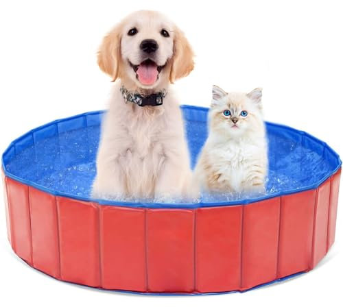 Hundepool, Hundepool für Kleine Hunde, Faltbar Hundepool, 60x20 cm Hunde Planschbecken, Planschbecken für Haustiere, PVC Hunde Pool, Katzenpool, Dog Sprinkler Pad, mit Rutschfestem Boden Ablassventil