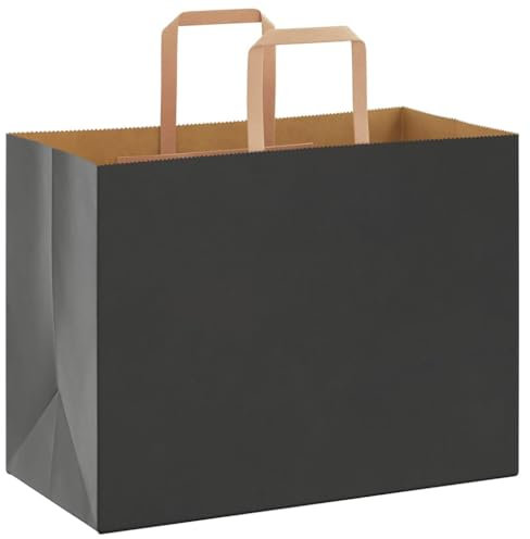 vidaXL Papiertragetaschen 250 Stk., Papiertüten mit Henkeln, Kraftpapiertüten, Geschenktüten für Einkaufen Hochzeiten Verpackungen Partys Geburtstag Weihnachten, Schwarz 32x17x25cm