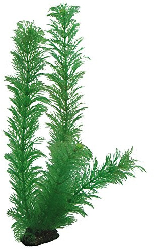 Hobby Egeria – 34 cm