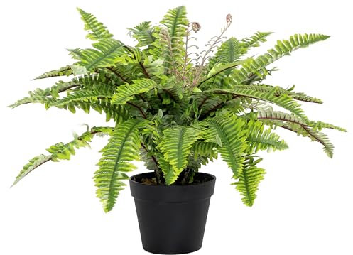 Blooming Artificial - Artificial Boston Fern Indoor Plant, Realistic House Plant in Pot for Home and Office, Year Round Decorative Foliage (Green) (50cm)