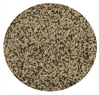 Canary Seed 2kg Mixed Canary Food Feed For Caged Canaries Aviary Canaries etc