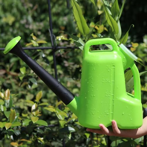 Cyrank Regadera De 3L para Plantas De Interior, Regadera De Jardín, Regadera Grande De Plástico con Pico Largo, Galón para Plantas De Jardín Y Flores(Verde)