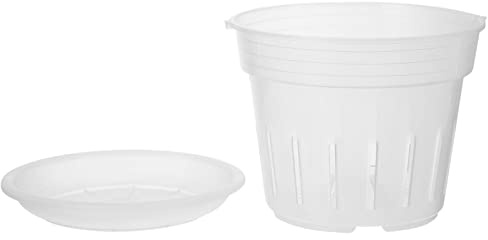 POPETPOP Pot de Fleurs en Plastique Transparent à Paroi Lisse | Design D’infiltration, Forme Arrondie, avec Plateau, pour Plante en Bureau ou Café