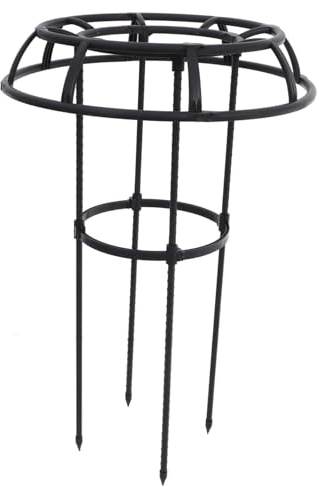 ibasenice Treillis pour Plantes Grimpantes Support De Jardin Outil De Mise Forme pour Plantes Pot Et Intérieur