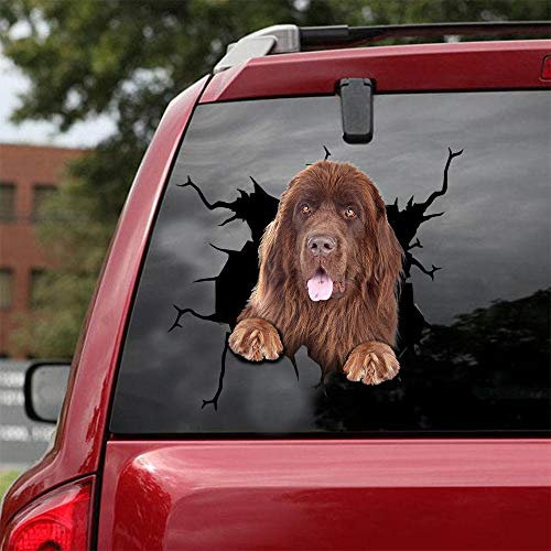Ocean Gift Neufundland Auto Abziehbilder, Hund Autoaufkleber 2 Stück - Realistische Neufundländer Aufkleber für Autofenster, Wände Serie 52 Größe 30,5 cm x 30,5 cm