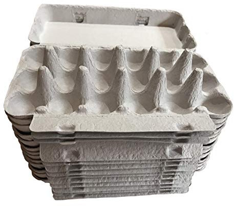 Boîtes pour Les Oeufs cailles en Carton - Lot de 20