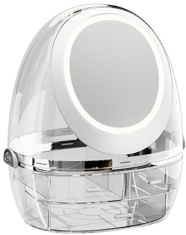 HBNOM Led Three-Coior Adjustable Makeup Mirror, Small Makeup Storage Box, Transparent Materials and Categorised Storage, Lighted Vanity Makeup Mirror