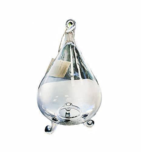 TrappolaGOCCIA cattura vespe, api e insetti in vetro. Adatta per essere appesa o da appoggio