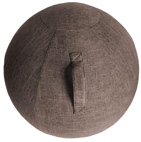 Homnova Ballon Siege Bureau Chaise Ballon Ballon Yoga Siège Ballon Ergonomique pour Bureau,avec Housse en Tissu/Balle D'assise/Pompe À Air Manuelle / 2 Bouchons,003,65cm