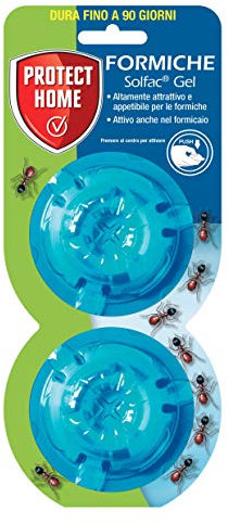 PROTECT HOME Gel Box: attrattivo ed appetibile per le formiche, 2 x 2 gr, Multicolore