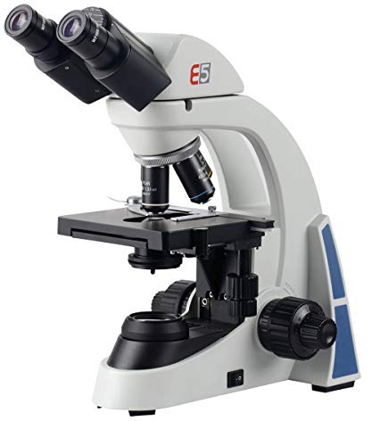 3B Scientific W30910 BE5 Microscopio Binocular