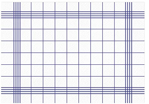 100 Tovagliette da tavolo motivo giardinaggio quadrettato scozzese bianche-blu I DIN A3 quadrate I Set Tovagliette di carta moderne, Set tovagliette da tavolo usa e getta I dv_550