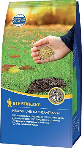Kiepenkerl Herbst- und NachsaatrasenKiepenkerl 1 kg