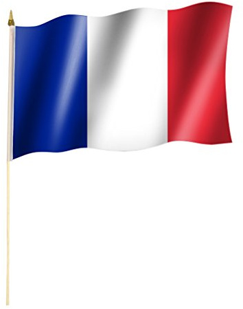 Stockflagge/Stockfahne FRANKREICH Flagge/Fahne ca. 30 x 45 cm mit ca. 60cm Stab/Stock