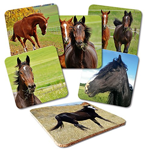Addies Glas-Untersetzer 6-tlg.Set bedruckt Motiv Pferde Komplett-Set in hochwertiger Klarsicht-Geschenkbox und Korkrückseite, Tier-Motiv