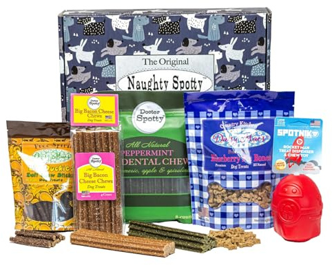 Dog Treat Gift Box Red Rocket Treat Dispenser, 4 Packages of USA-Made Natural Treats & Chews for Medium/Large Dogs (Space Theme, Peanut Butter Blueberry, Bacon Cheese, Duck and Peppermint Flavors).