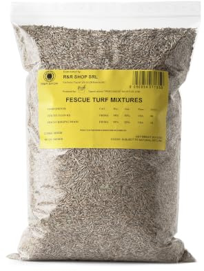 R&R SHOP - Semillas para Césped, Festuca Arundinacea, Resistentes y Duraderas (22,6Kg - 905mq)