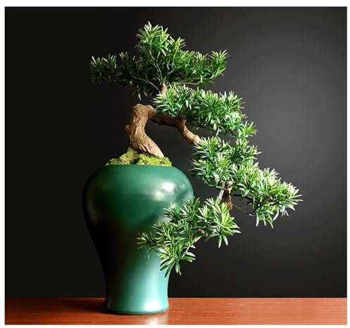 HSHTTKL Simulierter Podocarpus-Bonsai-Kunstbaum mit Keramikvase, einfache Wartung und Pflege, künstlicher Baum für die Präsentation auf dem Schreibtisch