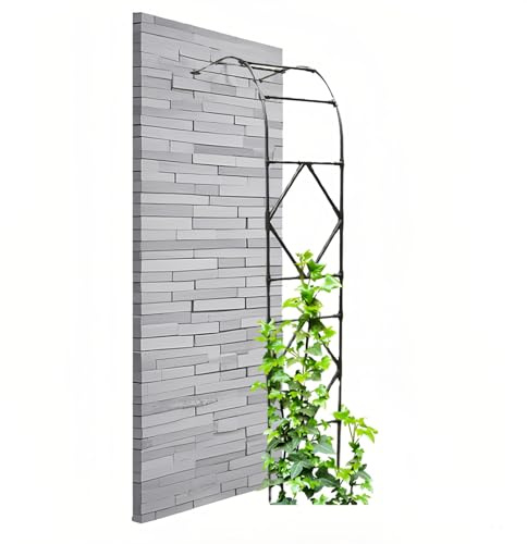 Garten Halbbogen - Metall Rosenbogen - Gartenlaube Rankhilfe Metall Rankbogen - Für Hinterhof, Rosen & Blumen(Black,60x240cm/1.9x7.8ft)