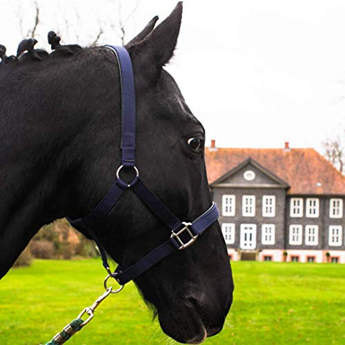Hästinis Grimma för varmblod, fullblod, kallt blod, ponny – stallgrimma, pilgrimhållare, 2-vägs justerbara spännen som är säkra och slitstarka (blå, kallt blod)